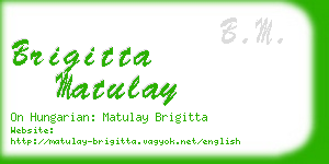 brigitta matulay business card